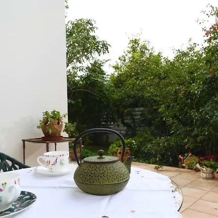 بيت ضيافة Sunny Garden Studio *