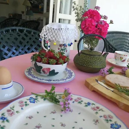بيت ضيافة Sunny Garden Studio نيقوسيا